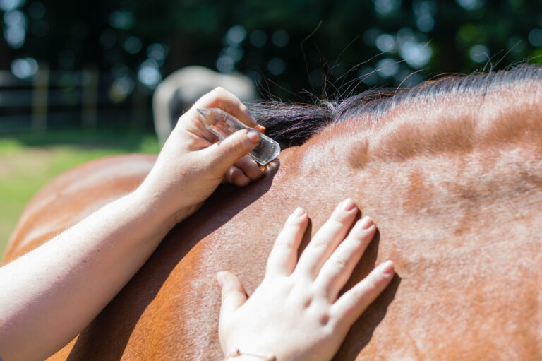comment devenir equi coach Déopona ?